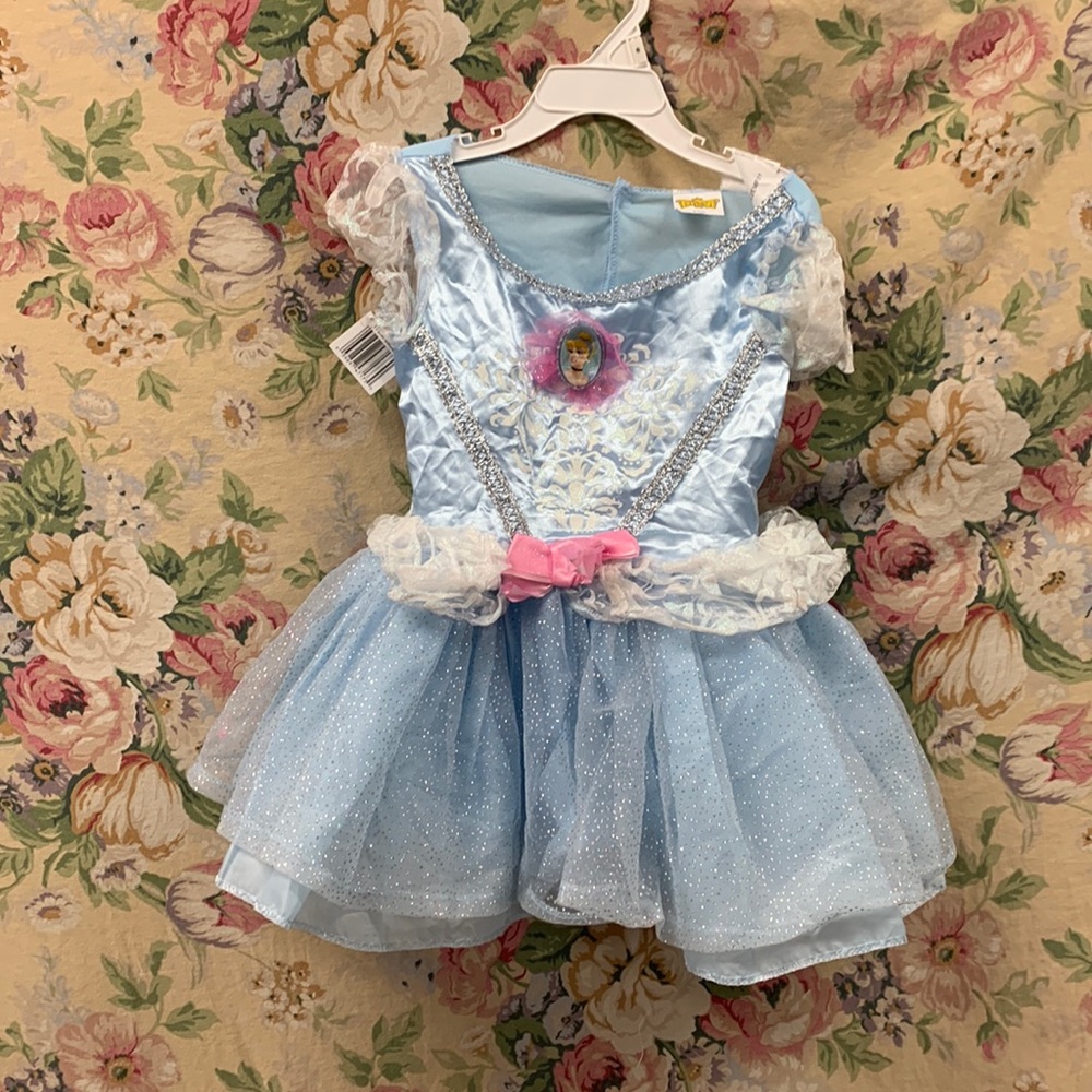 Disney Princess Cinderella Toddler Costume